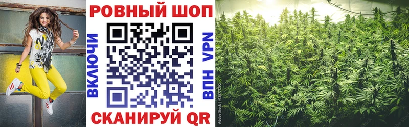 Купить закладку Псилоцибиновые грибы  Cocaine  Меф  ГАШИШ  СК  Нальчик