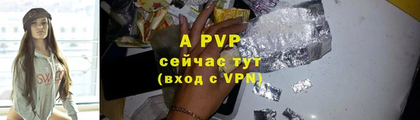 ALPHA PVP Инта