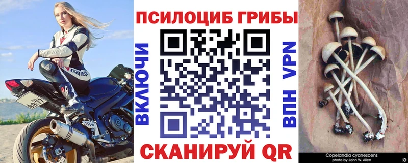 Псилоцибиновые грибы MAGIC MUSHROOMS Купить закладки Нальчик